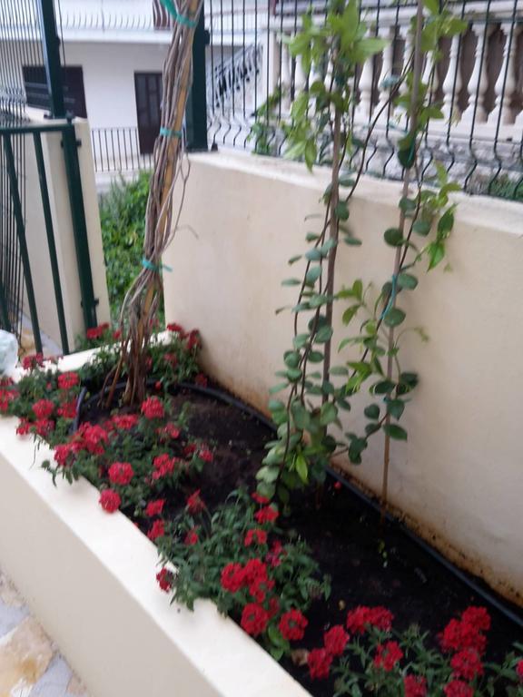Apartment Punta Milna *