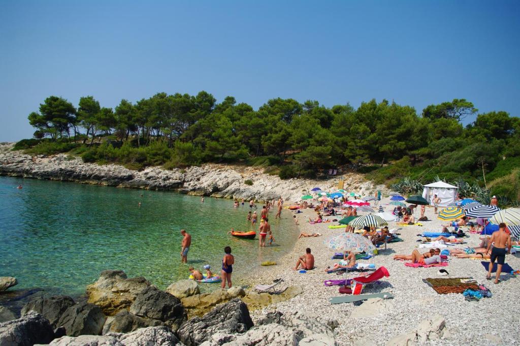 Apartment Punta Milna Hvar Town